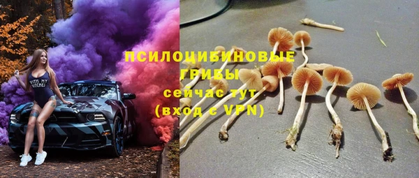 ПСИЛОЦИБИНОВЫЕ ГРИБЫ Беломорск
