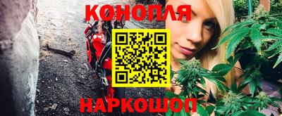 PSILOCYBIN Канаш