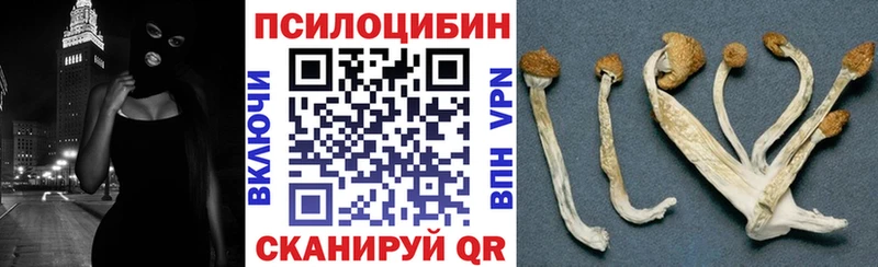Псилоцибиновые грибы MAGIC MUSHROOMS  kraken ссылки  Дагестанские Огни  купить наркотик 