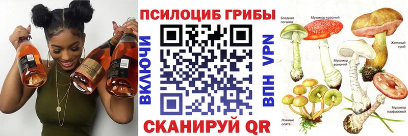 Псилоцибиновые грибы Cubensis Дагестанские Огни