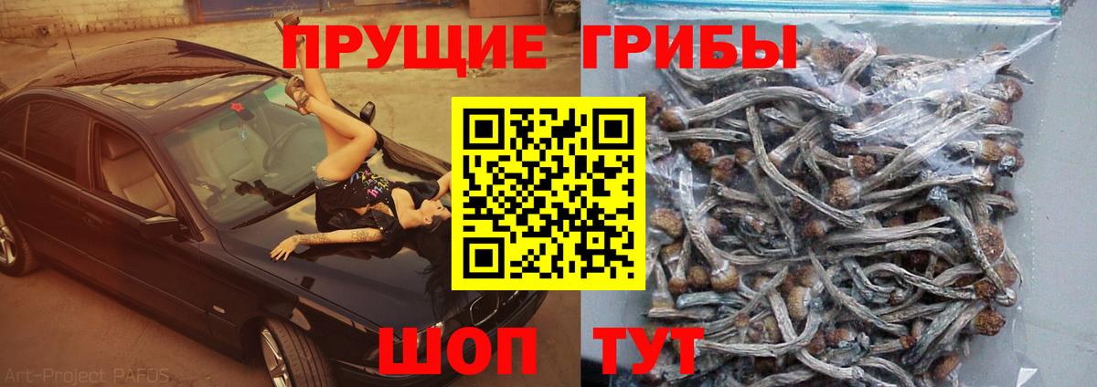 Галлюциногенные грибы прущие грибы Дагестанские Огни