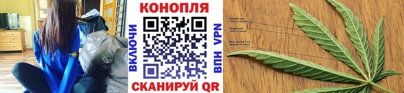 Шишки марихуана Amnesia Дагестанские Огни