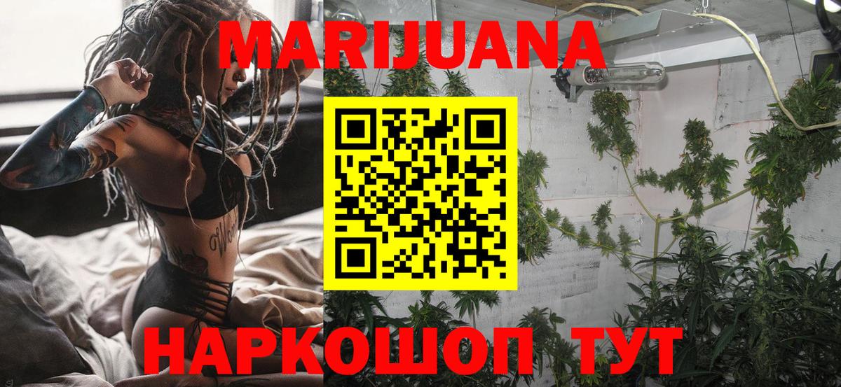 Дагестанские Огни  Бошки марихуана планчик  Вход с VPN  Конопля план  Каннабис конопля 